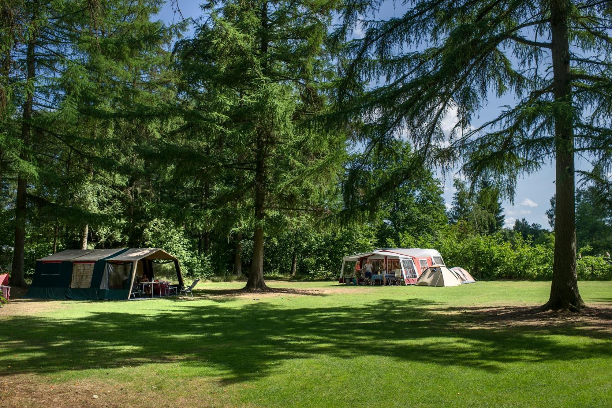 Rcn Vakantiepark De Roggeberg 阿帕尔查 外观 照片