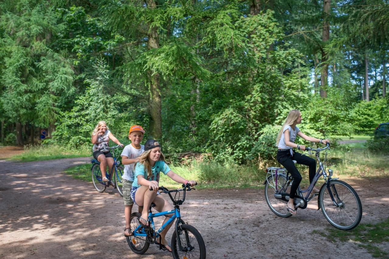 Rcn Vakantiepark De Roggeberg 阿帕尔查 外观 照片